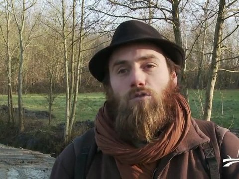 Restauration d'un îlot de marais aux portes de Niort