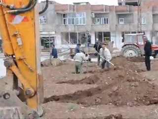nusaybin belediyesi ağaçlandırma çalışmaları