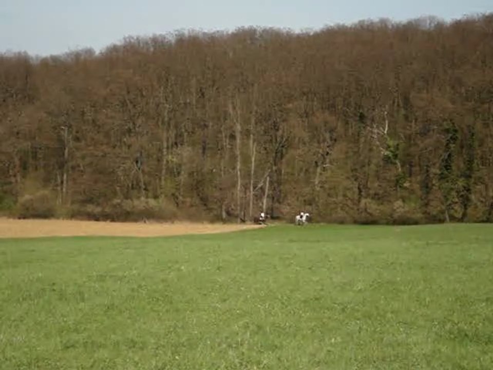 Une petite chute dans les champs, une =)