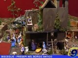 BISCEGLIE | Presepi nel borgo antico