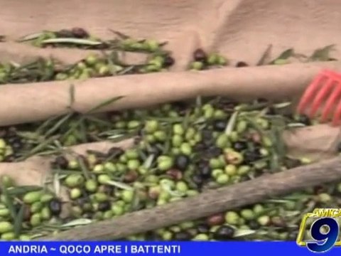 ANDRIA | QOCO apre i battenti