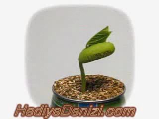 sihirli mesajlı kalp-seni seviyorum