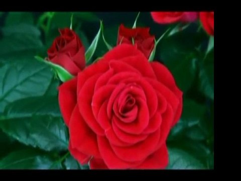 Abdullah-ı Ensari (r.a)-En Büyük Nimet