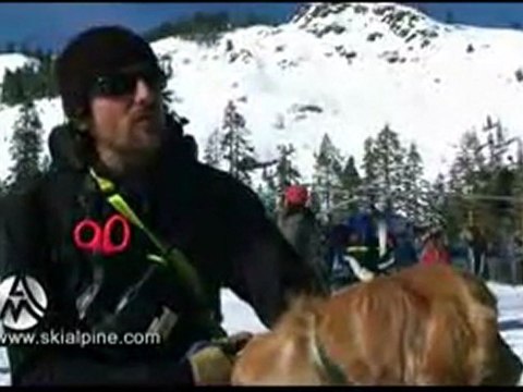 Search and Rescue Dog Training at Alpine Meadows
