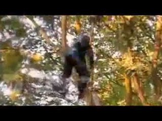 New World Disorder 8: Smack Down Teaser