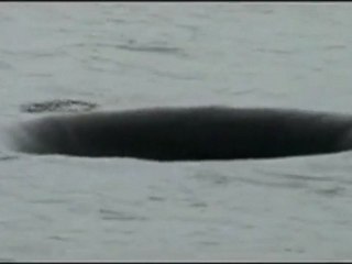 Il buco nell'acqua esiste davvero