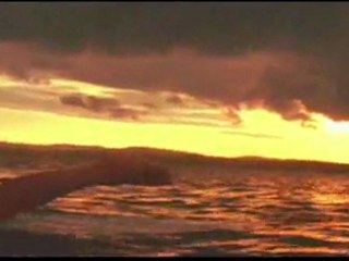 Roxy Surf Podcast - 3