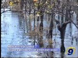 MARGHERITA DI SAVOIA | Si lavora per liberare gli arenili dall'acqua