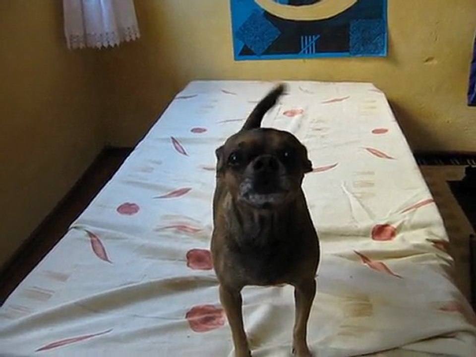 Küpekcik