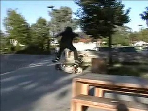 Chris Brunner Skateboarding Stairs, Rails, Schools & Parks