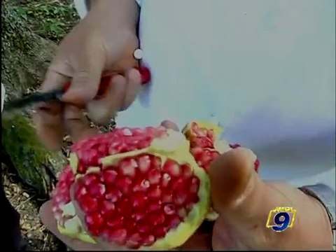 ORSARA DI PUGLIA | Peppe Zullo: musica nuova nell'orto