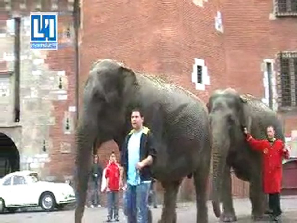 RECONSTITUTION D'UNE PARADE D'ELEPHANTS A PERPIGNAN