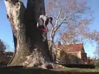 BMX - Steven Hamilton