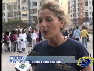 Video herunterladen: BARLETTA | Scuola Girondi: anche i pony a scuola