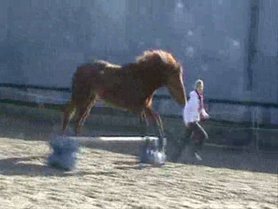 Etoile et Jythan Janvier 2011