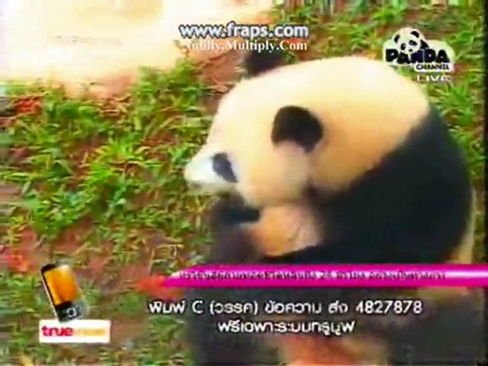 PANDA LinPin-Circle Game[2]20.12.10
