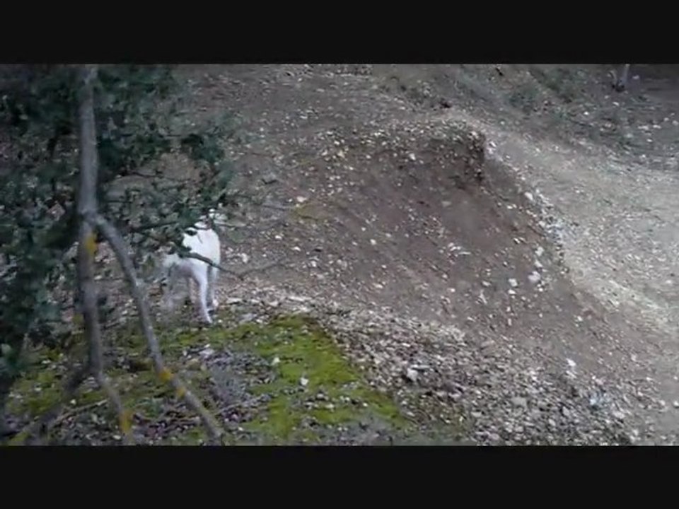 Promenade à Thouzon