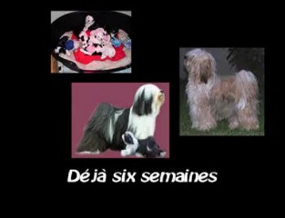Six Semaines Déjà (la portée de A'Yangchen Mo et de Cooper)