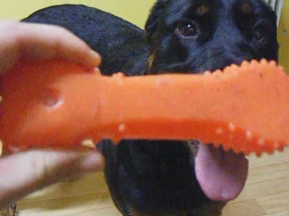 douville beauceron