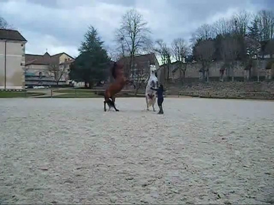 Jolis Garçons