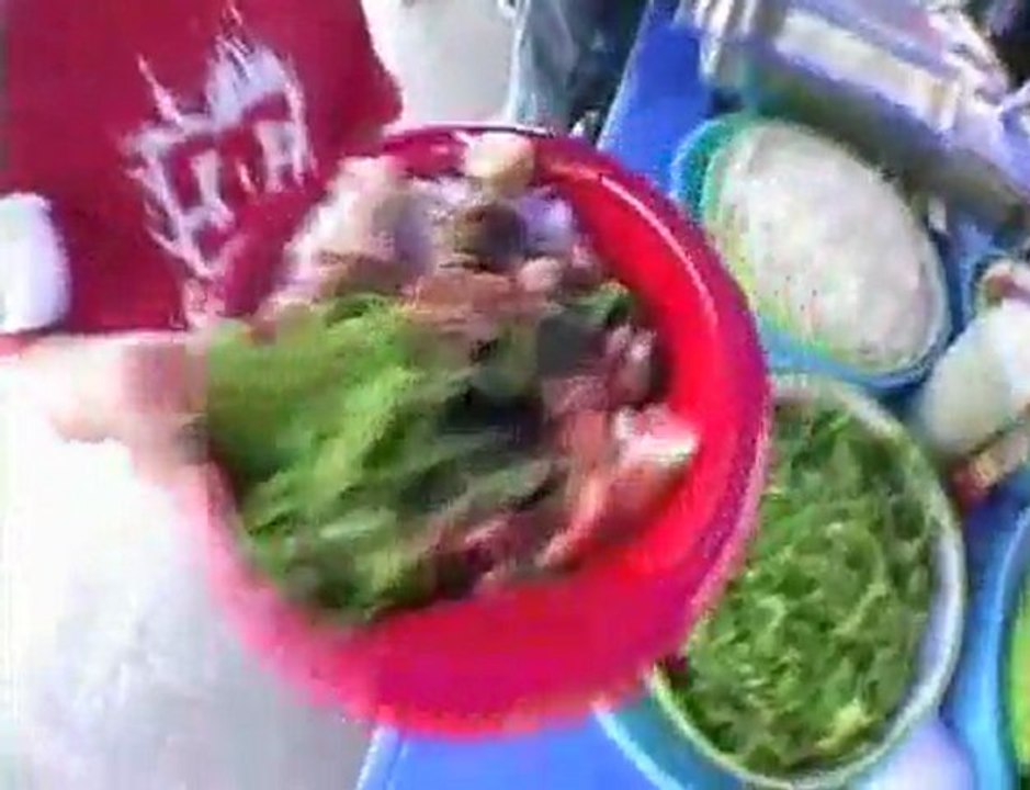 Wild in the Parks 2007 - Stop #2 - Austin, Texas