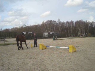 14.02.2011 Degré 2 Ténébra