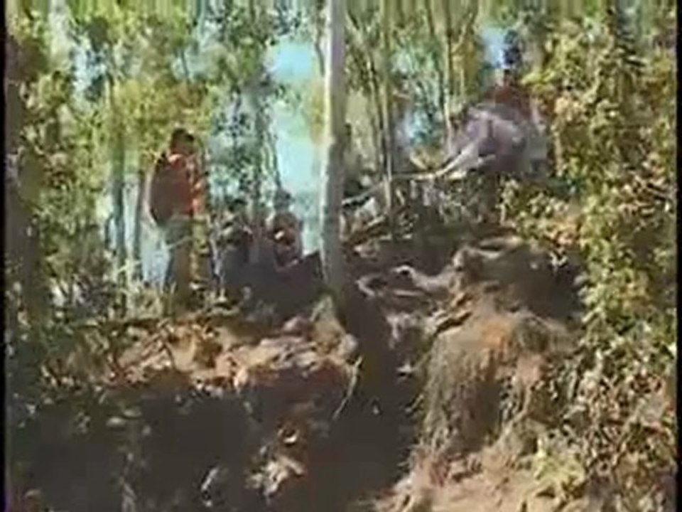 Earthed 2 : Never Enough Dirt