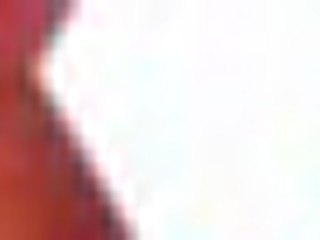 Teaser - Saint Seiya CG