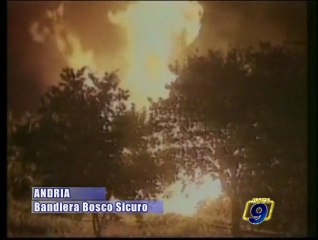ANDRIA | Bandiera bosco sicuro