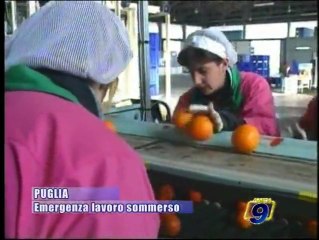 PUGLIA | Emergenza lavoro sommerso