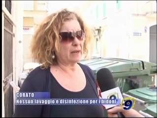 CORATO | Nessun lavaggio e disinfezione dei bidoni