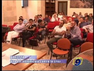 BARLETTA | Una O.P. vitivinicola contro la crisi