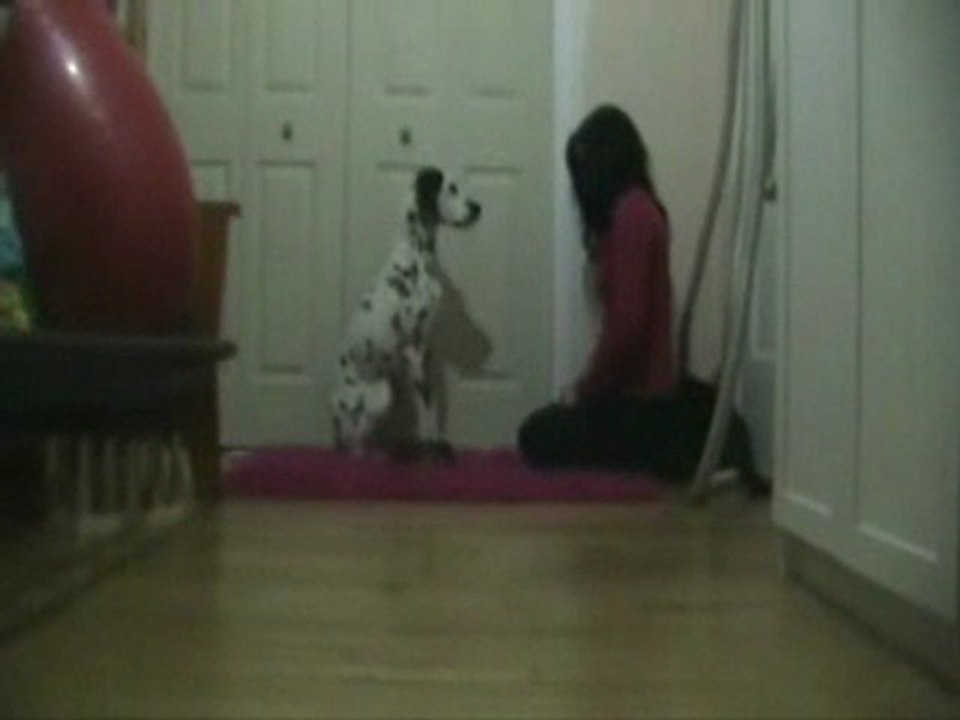 Heeling is just another Trick ( Séance 1 )