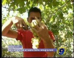 BRUXELLES | On. Sergio Silvestris: No al taglio delle integrazioni