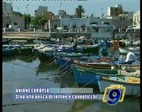 UNIONE EUROPEA | Stop alla pesca di telline e canolicchi