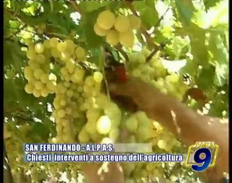 SAN FERDINANDO | Chiesti interventi a sostegno dell'agricoltura