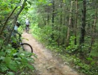 West Coast of Newfoundland