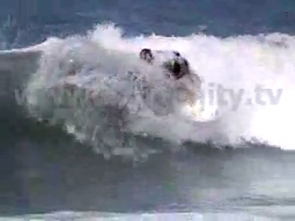 Surfing Tricks