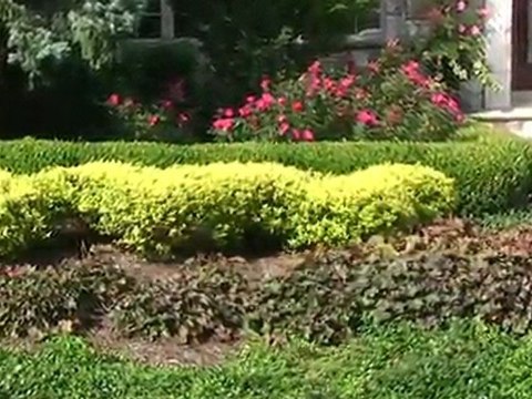 How to Choose Deer Resistant Plants and Shrubs - New Jersey