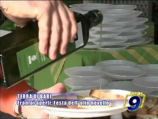 FRANTOI APERTI PER LA FESTA DELL'OLIO NOVELLO