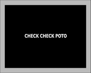Julia VARGA Réalisatrice FID 2010 "CHECK CHECK POTO"