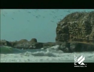 Fins:  Jason "Ratboy" Collins - Part 2