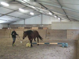 15.02.2011 Degré 2 Ténébra