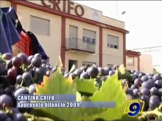 CANTINA CRIFO. Approvato il bilancio 2009