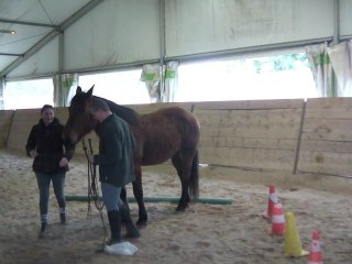 15.02.2011 Degré 2 Ténébra