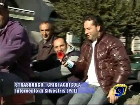 CRISI AGRICOLA. Intervento di Silvestris (PdL) al Parlamento Europeo