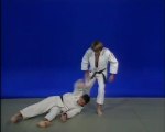 Maitriser jujitsu - Techniques basique