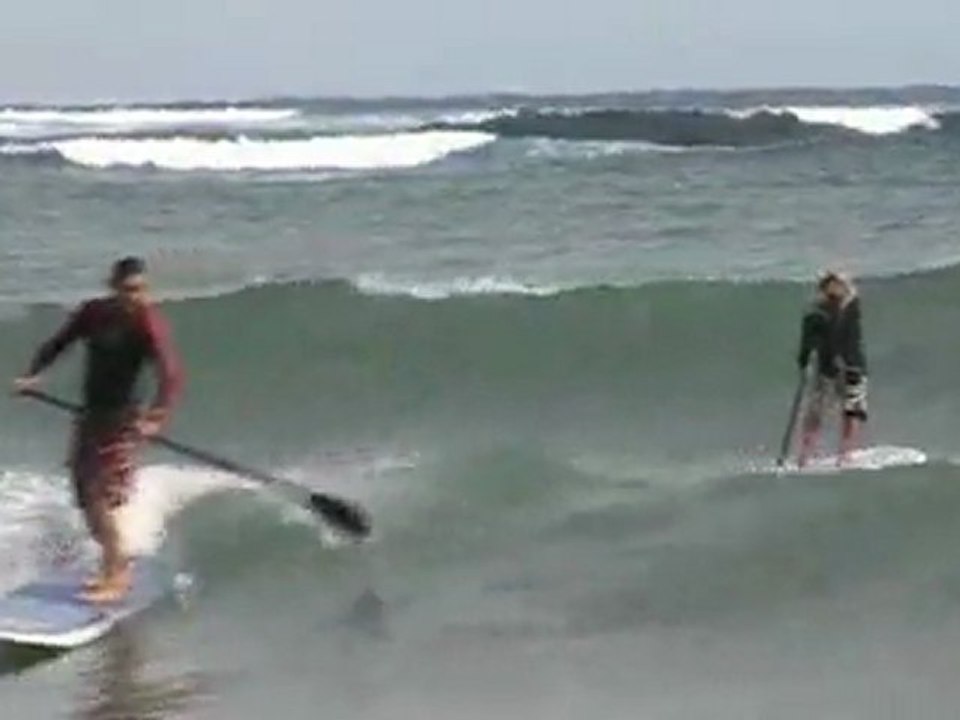 Lanzarote S.U.P