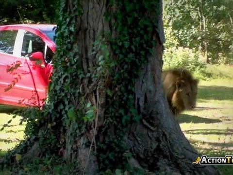 Essai Peugeot 308 GTI par Action-Tuning