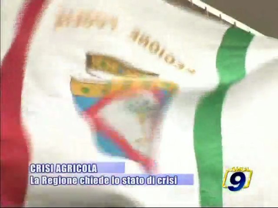 PUGLIA. La Regione chiede lo stato di crisi del comparto agricolo